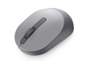 Souris 11