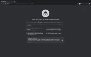 Google Chrome Navigation Privée