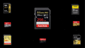 cartes microSD